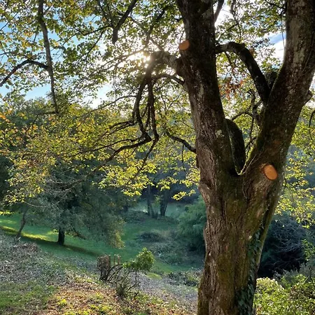 Holiday home Le Pre Aux Moines