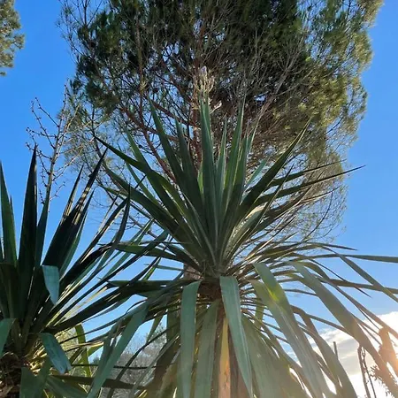 Le Pre Aux Moines Fontcouverte (Charente-Maritime)