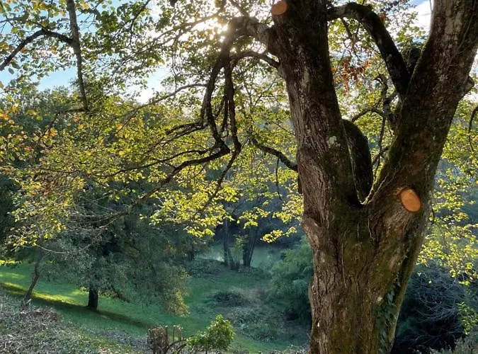 Дом отдыха Le Pre Aux Moines