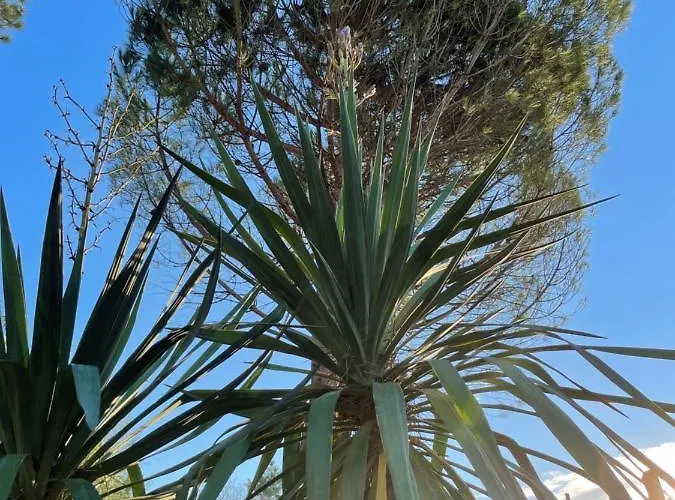 Le Pre Aux Moines Fontcouverte (Charente-Maritime)